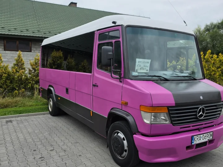 Mercedes Vario — 24 miejsca, Labudda Busreisen
